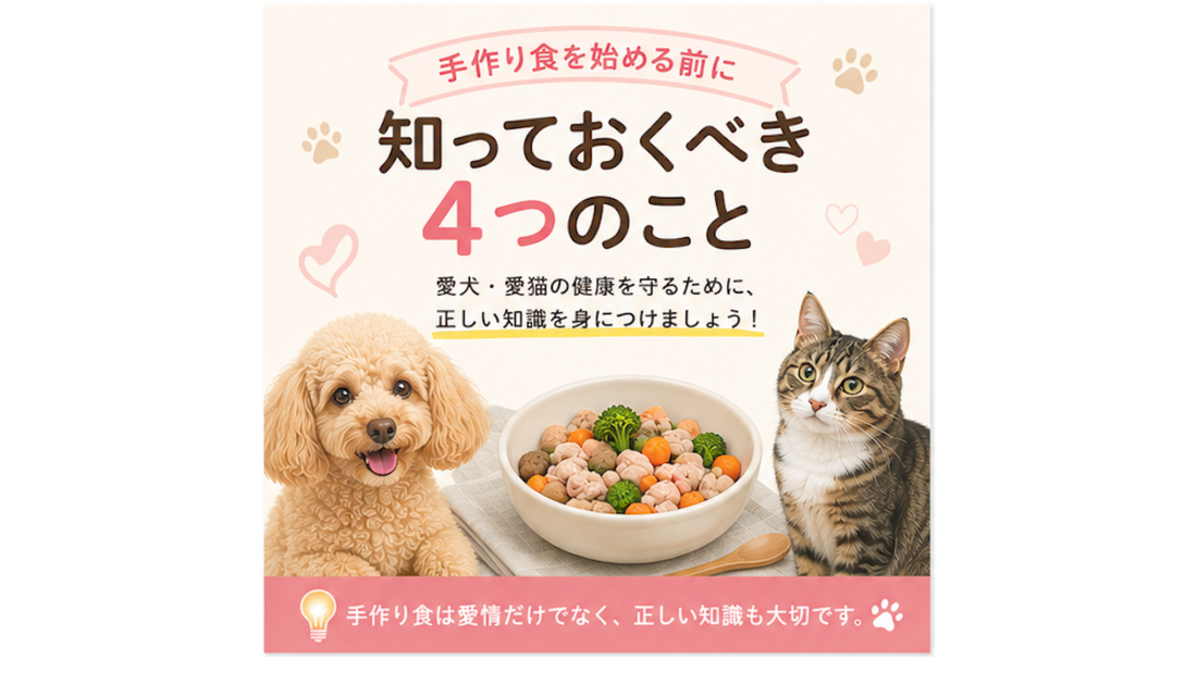 🐶🍚 手作り食を始める前に知っておくべきこと