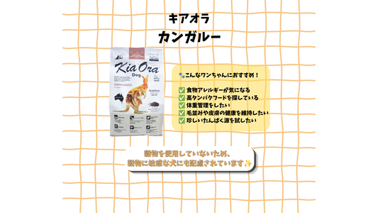 🦘🐶キアオラ カンガルーの特徴とおすすめポイントをご紹介！✨