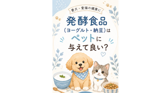 🐶🐱発酵食品（ヨーグルト・納豆）はペットに与えて良い？🩵
