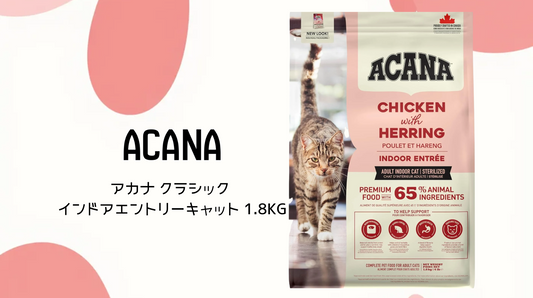 猫ちゃんの毎日をもっと健康に✨