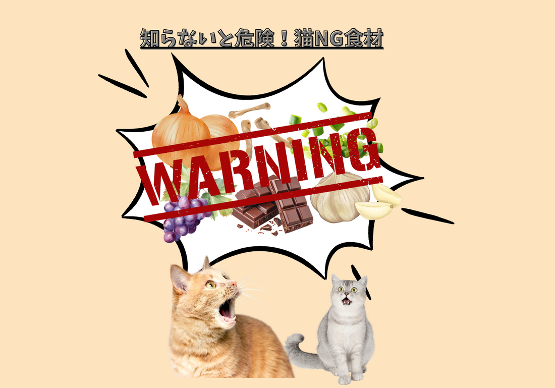 🐱⚠️猫が食べてはいけない危険食材まとめ⚠️🐱
