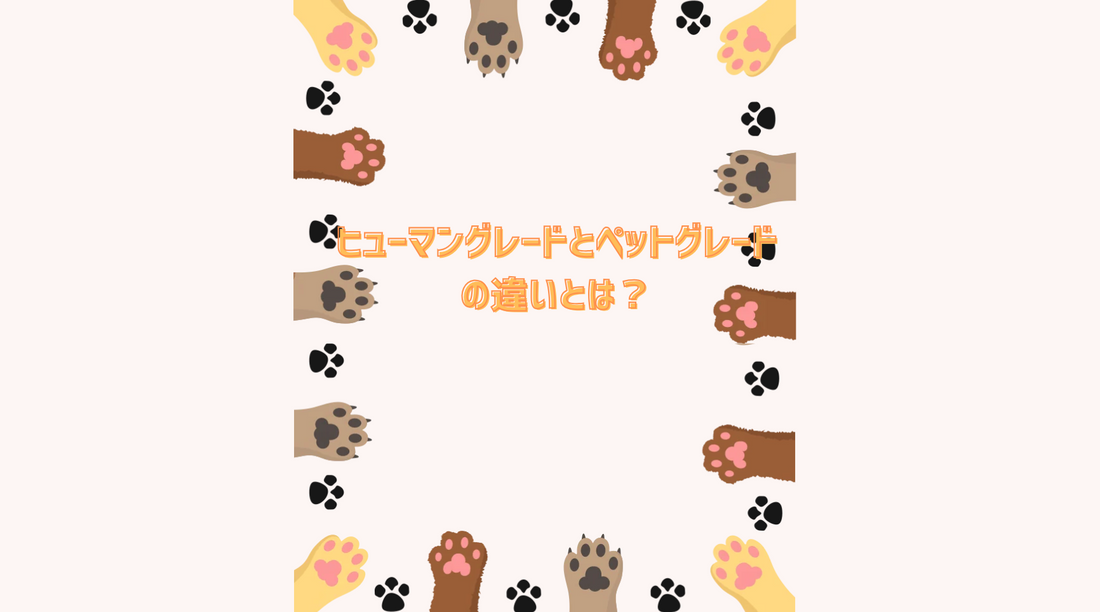 ヒューマングレードとペットグレードの違いとは？🐶🐱👦