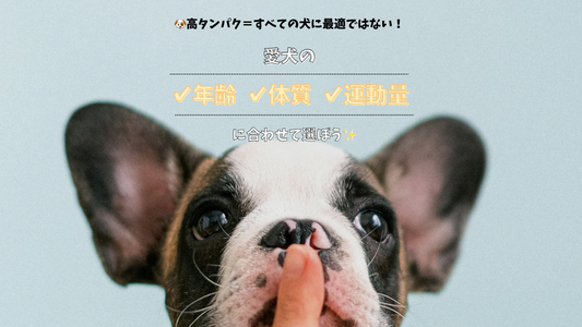 🐶🍖高タンパクな犬用フードおすすめ5選！🍖🐶