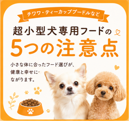 🐶超小型犬（チワワ・ティーカッププードル）専用フードの注意点🍽️
