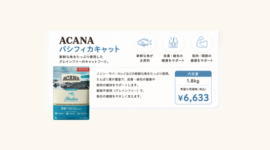 🐱魚好きな猫ちゃんにおすすめ！