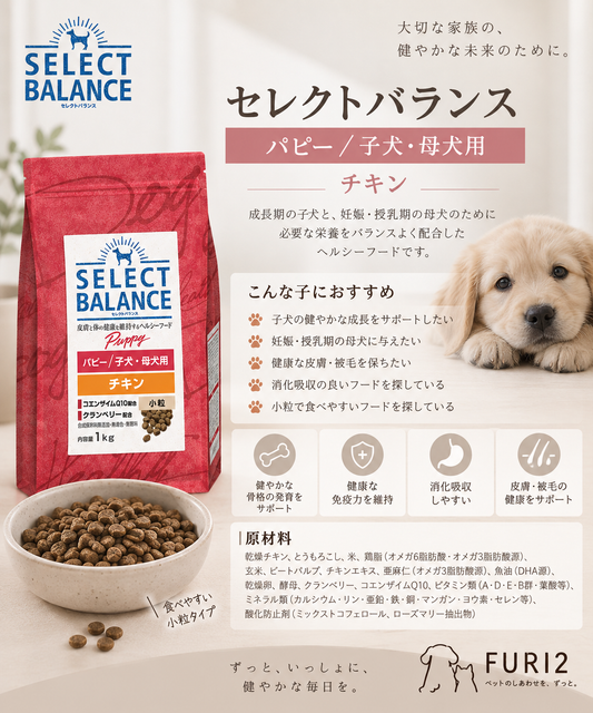 セレクトバランス パピー チキン｜子犬と母犬の健やかな毎日を支えるフード