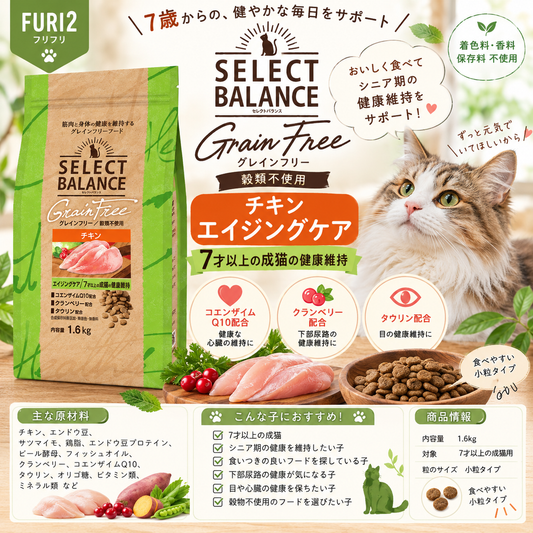🐱 7歳からの愛猫に🐱