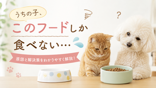 🐶🐱「うちの子、このフードしか食べない…」そんなお悩みありませんか？🍽️