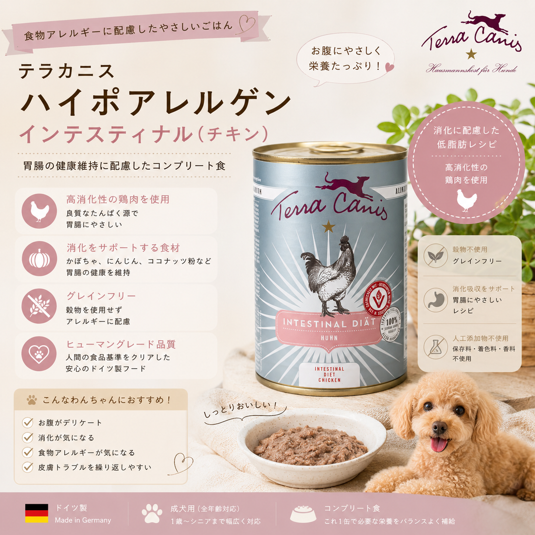 🐾 お腹の健康を食事からサポート
