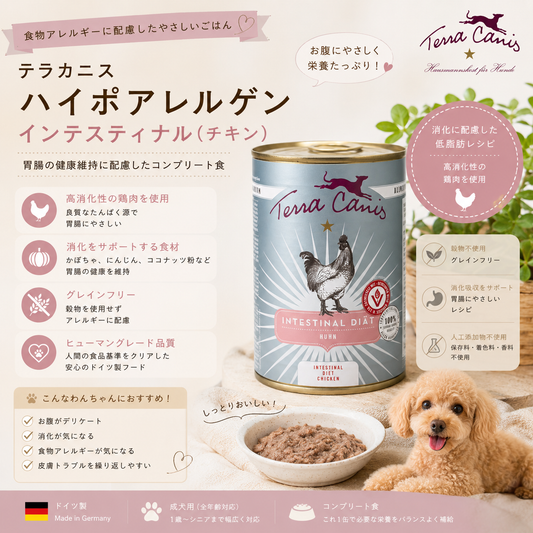 🐾 お腹の健康を食事からサポート