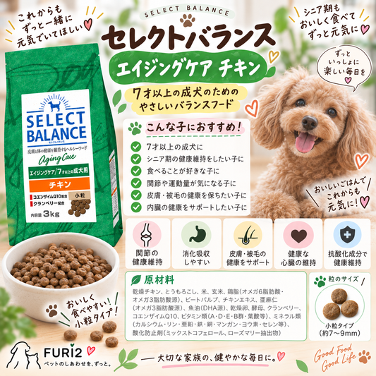 7才以上の愛犬の健康を考えた毎日のごはん