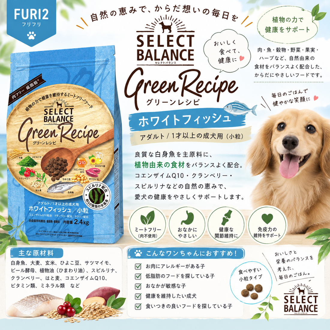 🐟 お肉を使わず、白身魚と植物の力で健康をサポート！
