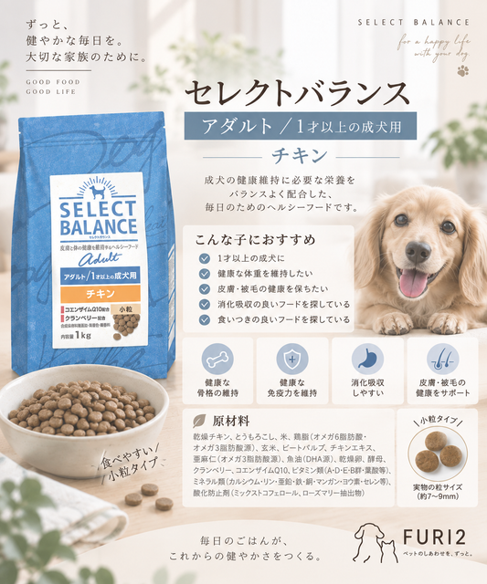 セレクトバランス アダルト チキン｜成犬の毎日に寄り添う、やさしいごはん