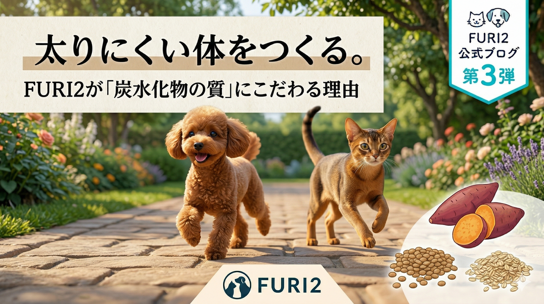 太りにくい体をつくる。FURI2が『炭水化物の質』にこだわる理由