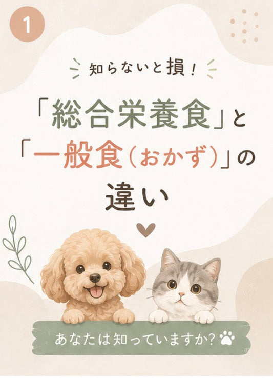 🥣「総合栄養食」と「一般食（おかず）」の違いって知ってる？🐶🐱