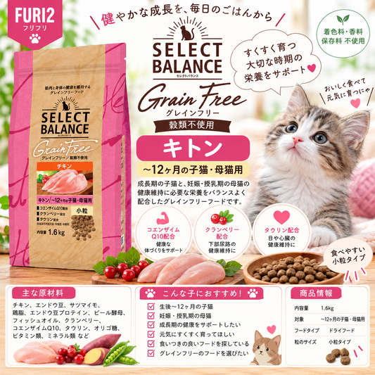 🐱✨ 愛猫のすくすく育つ大切な時期に！