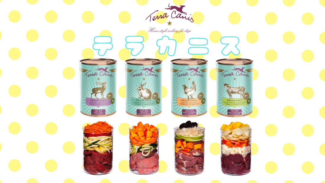 テラカニス　グレインフリーシリーズ🐶✨