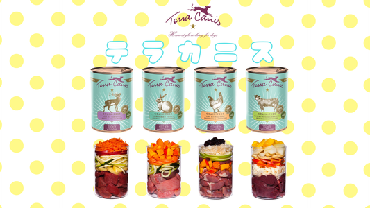 テラカニス　グレインフリーシリーズ🐶✨