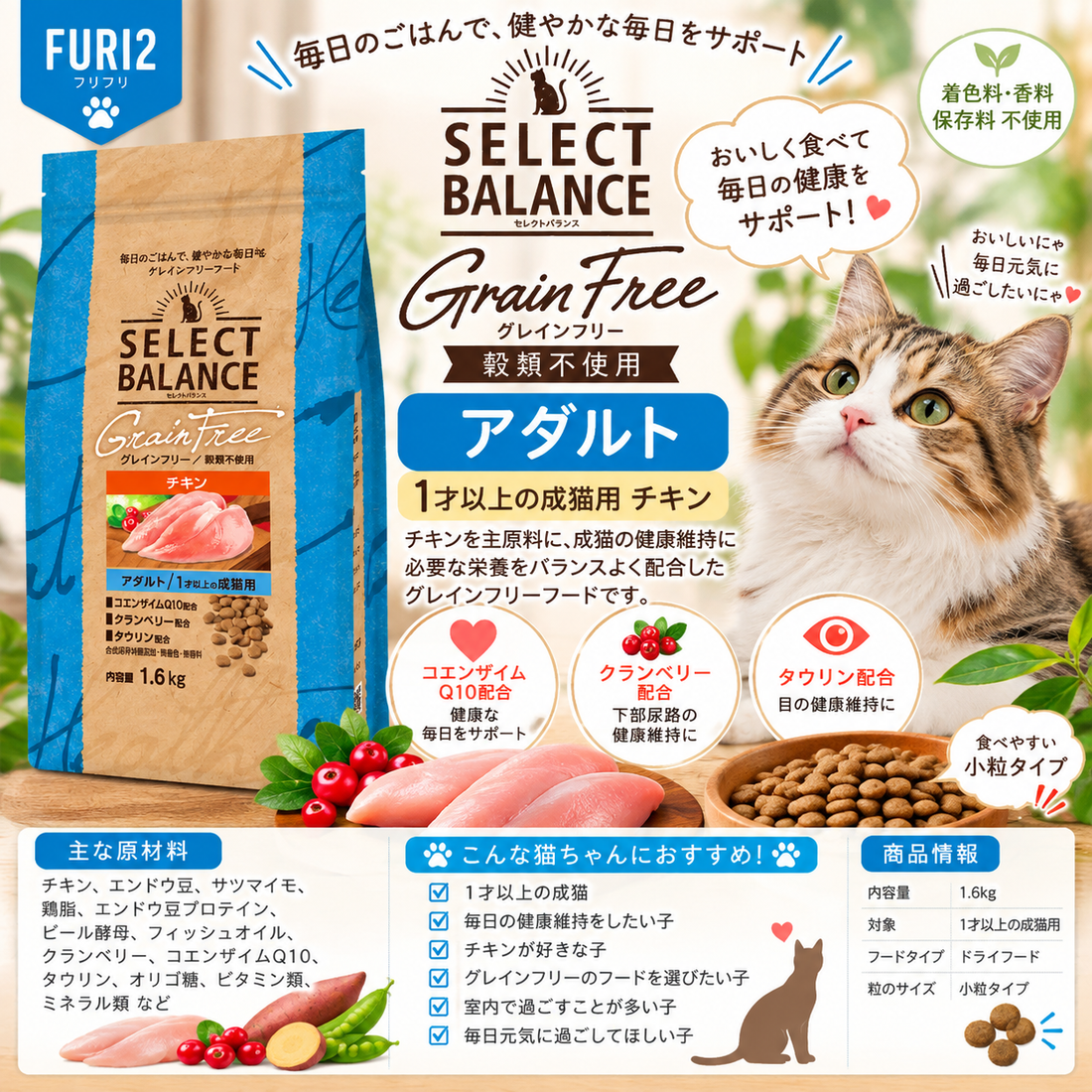 🐱✨ 1歳からの愛猫に！
