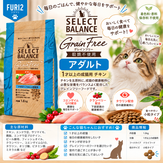 🐱✨ 1歳からの愛猫に！