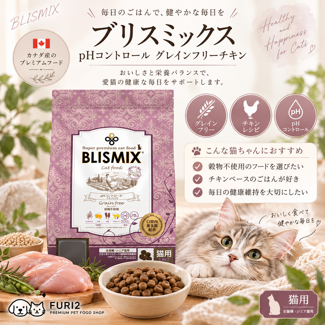 🐱❤️猫ちゃんの健康を考えたキャットフード