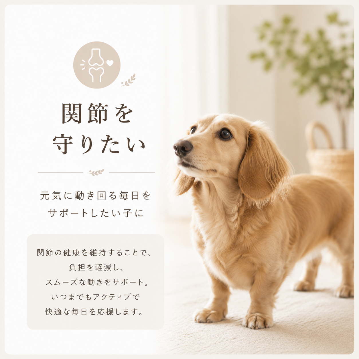 関節を守りたい