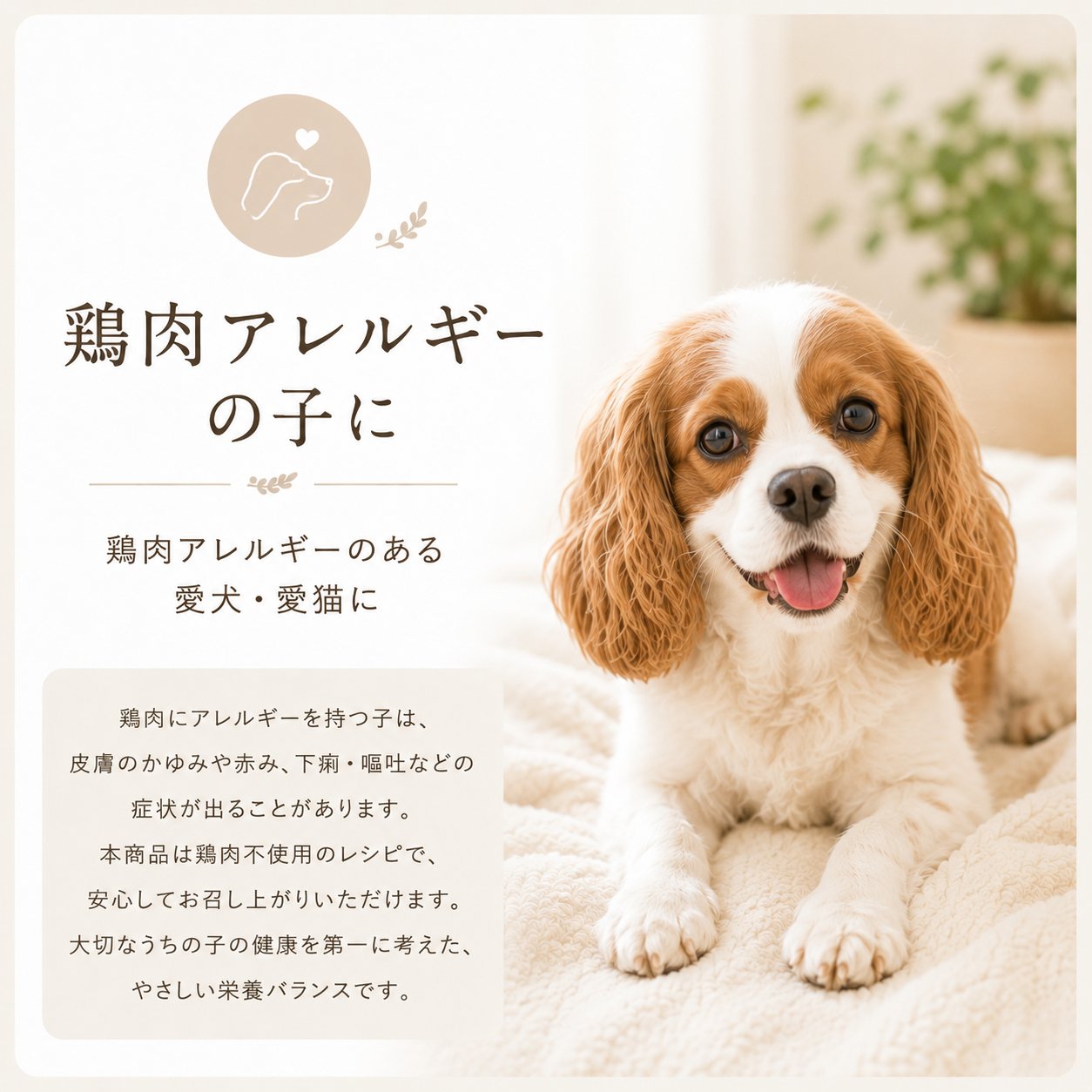 鶏肉アレルギーの子に