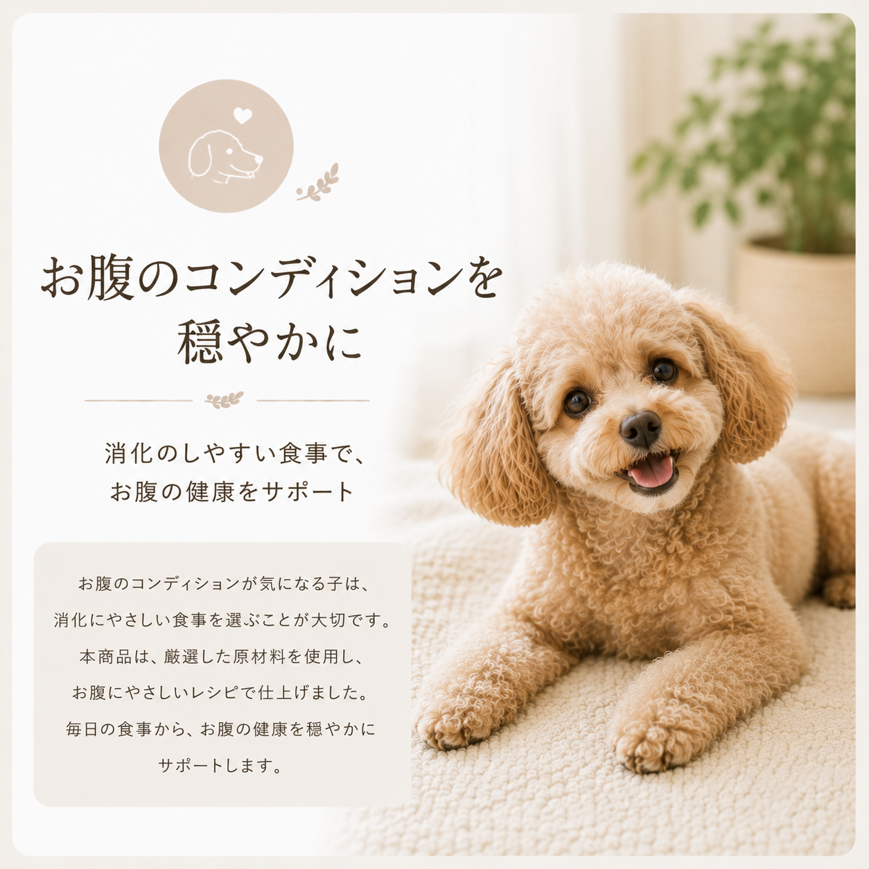 お腹のコンディションを穏やかに