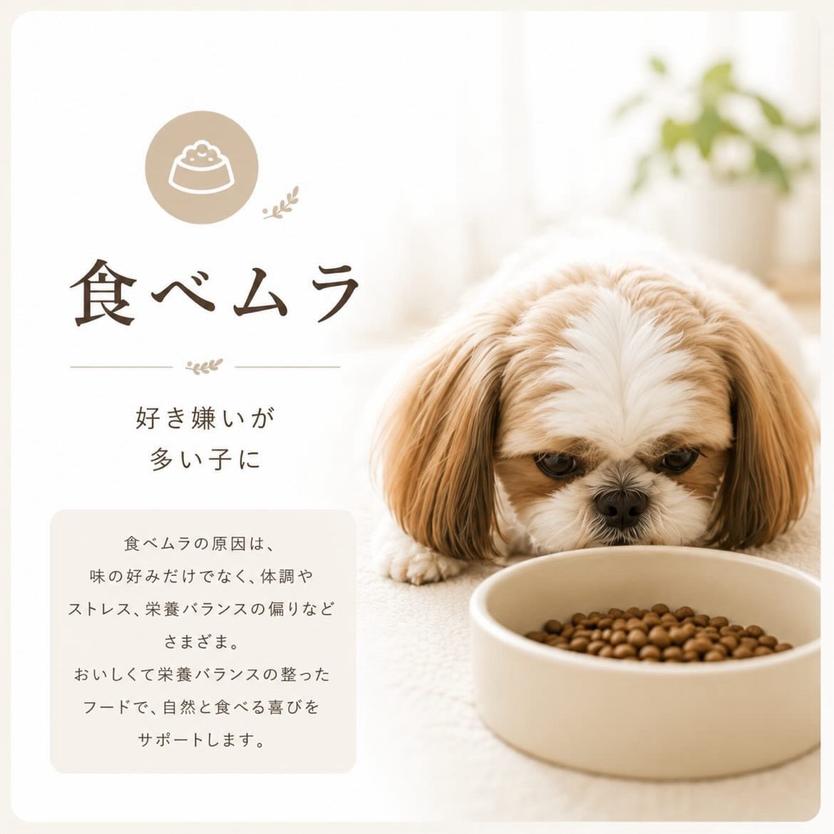 食が細い子に