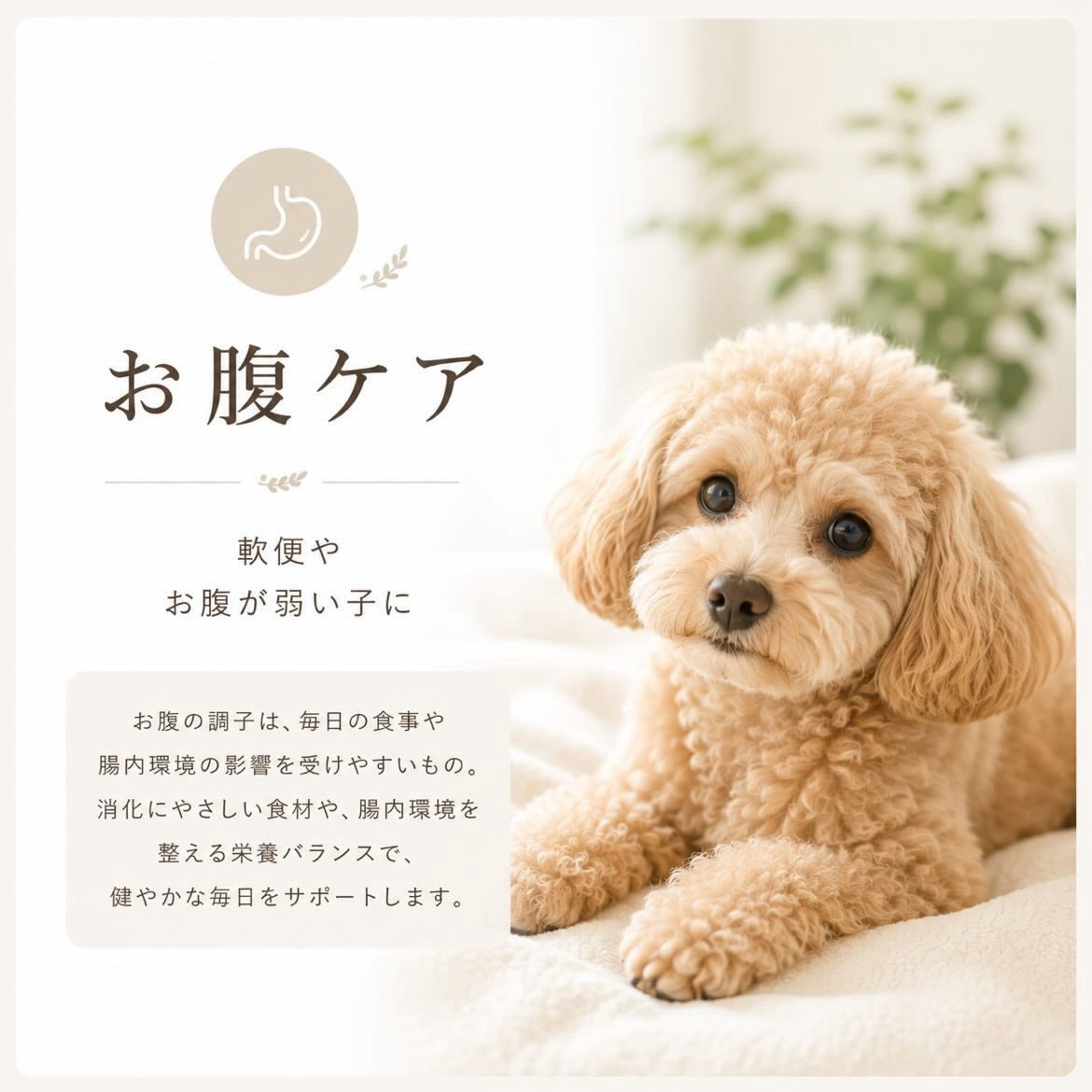 お腹ケア