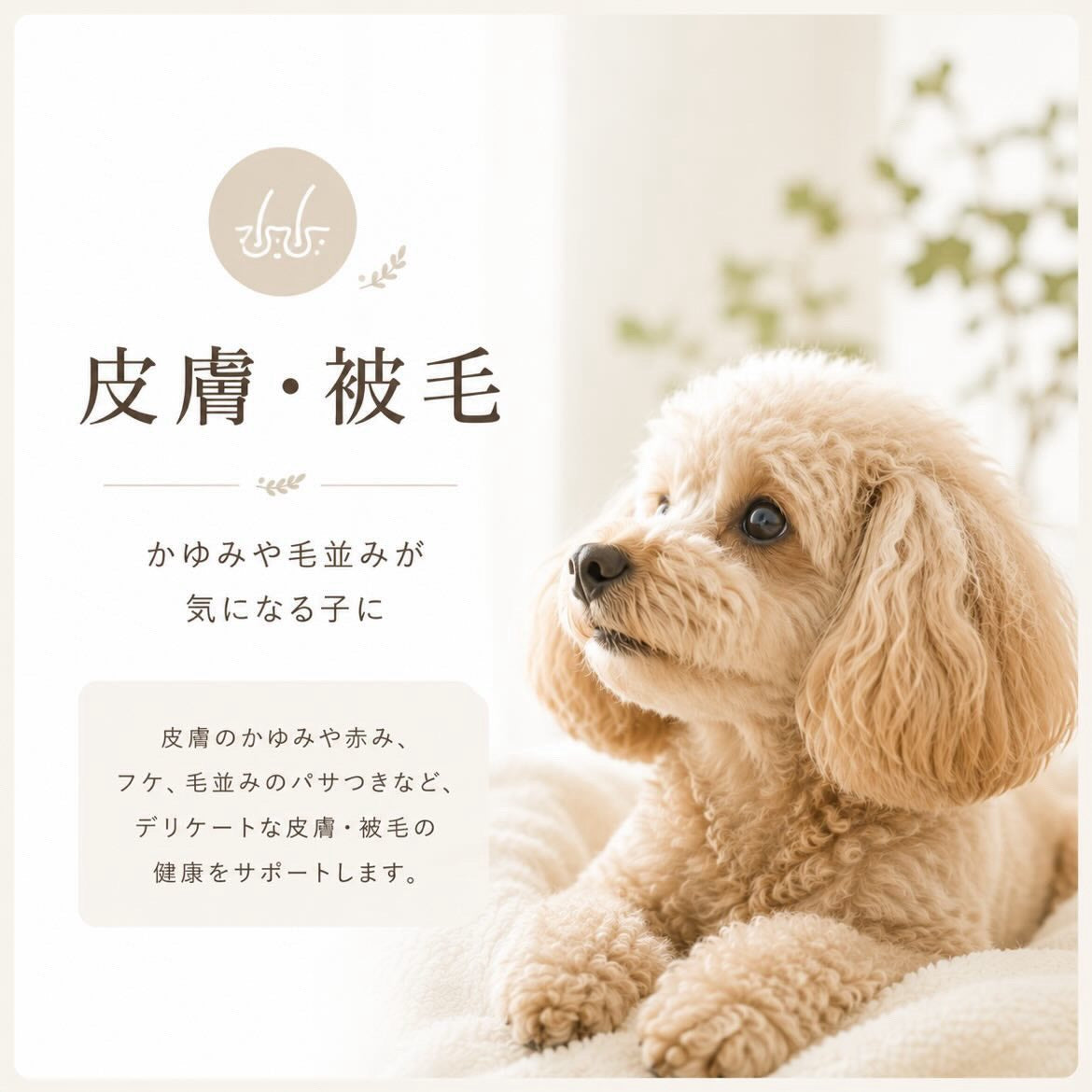 皮膚と被毛のやさしいケア