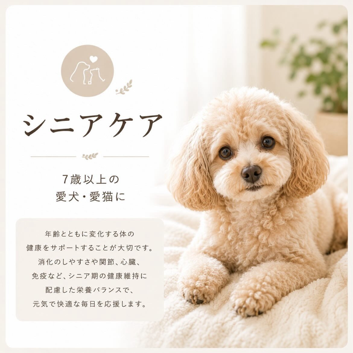 　7歳以上