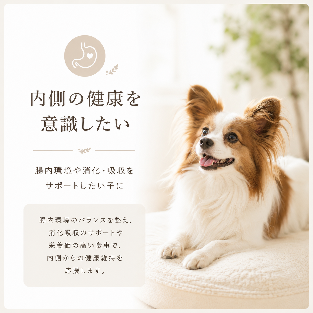 内側の健康を意識したい