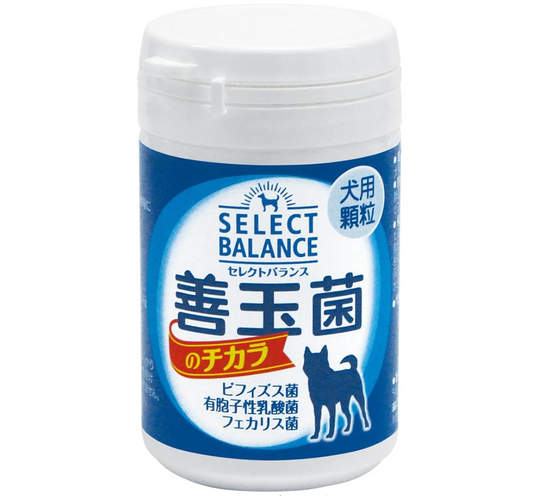セレクトバランス 善玉菌のチカラ 犬用 顆粒 45g (45g)
